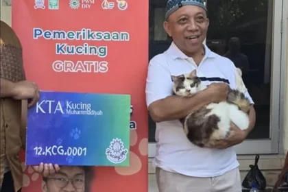 Pemeriksaan kucing gratis