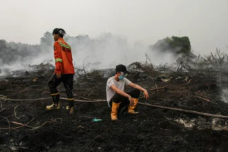 Petugas beristirahat sejenak saat pemadaman kebakaran lahan gambut di Kecamatan Pahandut, Palangka Raya, Kalimantan Tengah, Rabu (2/9/2026).